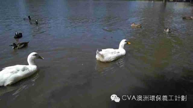 微信图片_20181025161645.jpg