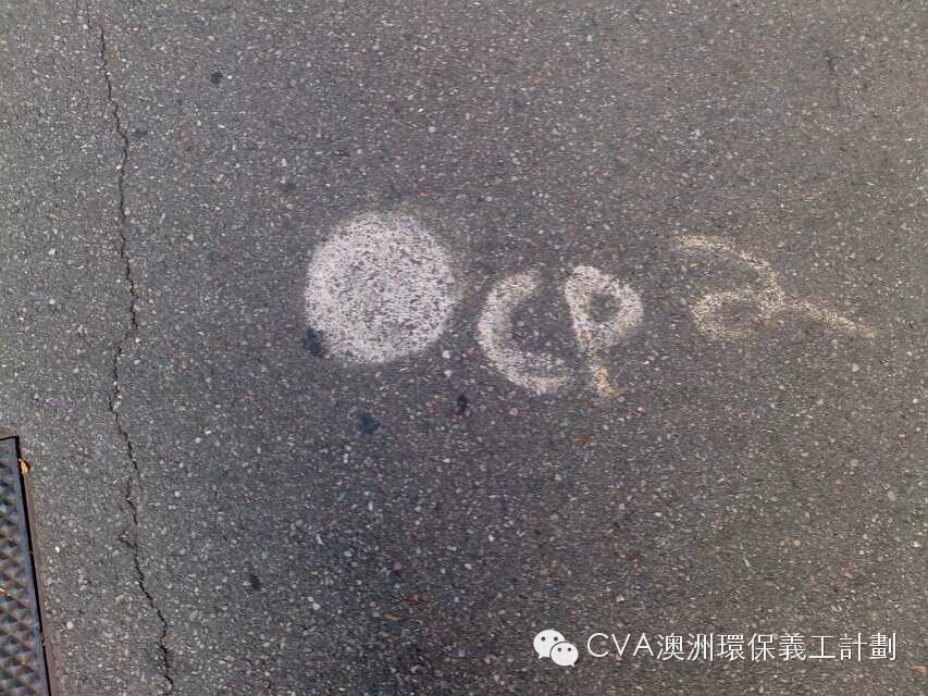 微信图片_20181025162452.jpg